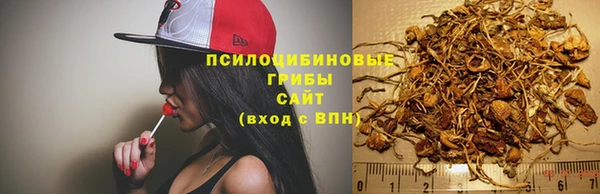 меф Гусиноозёрск