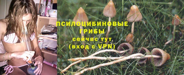 прущая мука Гусь-Хрустальный