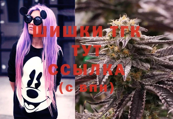 spice Дмитров