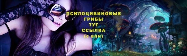 экстази Дмитровск