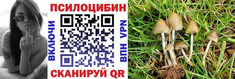 Псилоцибиновые грибы мицелий  Купить где  Кировск 